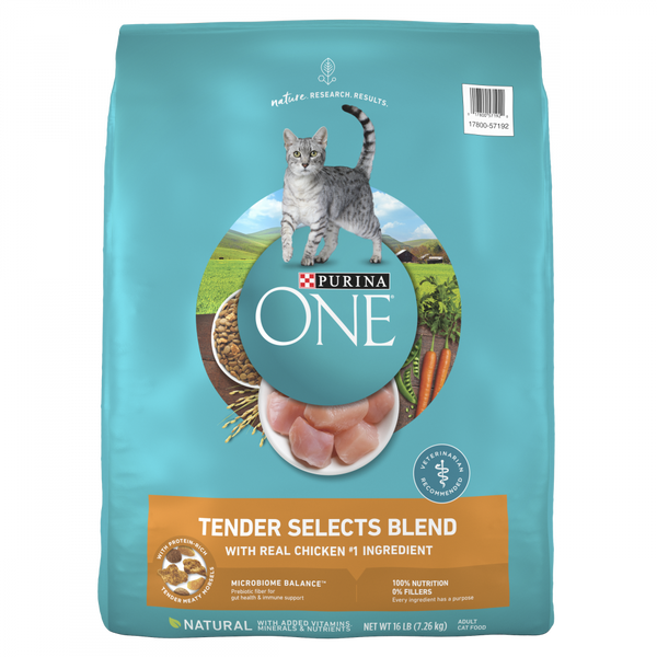 Purina ONE Tender Selects Blend Real Chicken Dry Cat Food