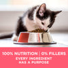 Purina ONE Kitten Growth & Development Dry Cat Food