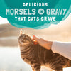 Natural Balance Original Ultra Platefulls Chicken & Salmon Recipe Morsels in Gravy Wet Cat Food Pouches
