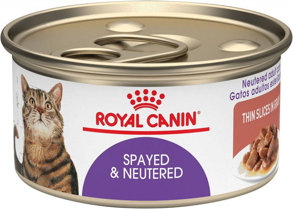 Royal Canin Feline Health Nutrition Spayed or Neutered Thin Slices in Gravy Canned Cat Food