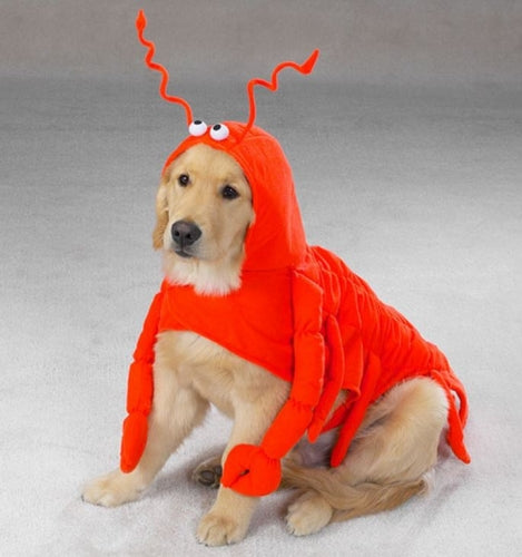 Lobster Paws Dog Costume