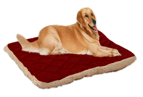 Pet ice silk cushion