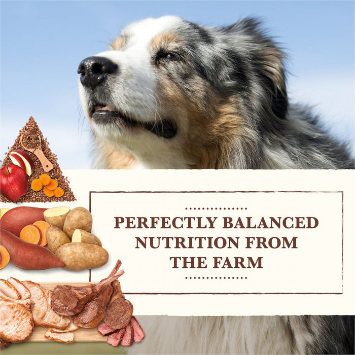 Whole earth grain free best sale puppy food