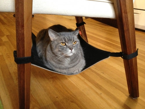 Cat Crib Unique Cat Hammock