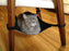 Cat Crib Unique Cat Hammock