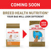 Royal Canin Breed Health Nutrition Poodle Puppy Dry Dog Food