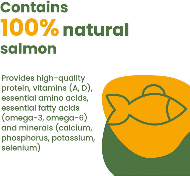 Almo Nature HQS Natural Cat Grain Free Salmon In Broth Canned Cat Food