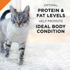 Purina Pro Plan Savor Adult Chicken Entree with Tomatoes Braised in Gravy Canned Cat Food