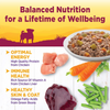 Wellness Petite Entrees Casserole Grain Free Natural Tender Chicken Recipe Wet Dog Food