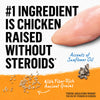 Purina Beyond Simply 9 White Meat Chicken & Whole Barley Dry Dog Food