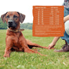 Wellness CORE Grain Free Tender Bites Original Recipe Meal or Mixer Dry Dog Food