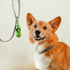Earth Rated Leash Dispenser with Unscented Waste Bags