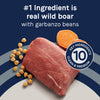 Canidae Pure Goodness Real Wild Boar & Garbanzo Bean Recipe Adult Dry Dog