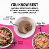 Purina Beyond Grain-Free Wild Salmon Pate Recipe Canned Cat Food