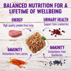 Wellness Healthy Indulgence Natural Grain Free Shreds with Tuna and Shrimp in Light Sauce Cat Food Pouch