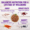 Wellness Healthy Indulgence Natural Grain Free Morsels with Turkey and Duck in Savory Sauce Cat Food Pouch