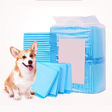 Pet Urine Pad Diaper Disposable Training Dog Urine Cleaning Pad for Pets Health Care