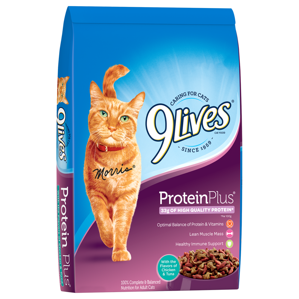 9 Lives Protein Plus Dry Cat Food