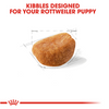 Royal Canin Breed Health Nutrition Rottweiler Puppy Recipe Dry Dog Food