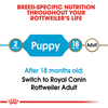 Royal Canin Breed Health Nutrition Rottweiler Puppy Recipe Dry Dog Food