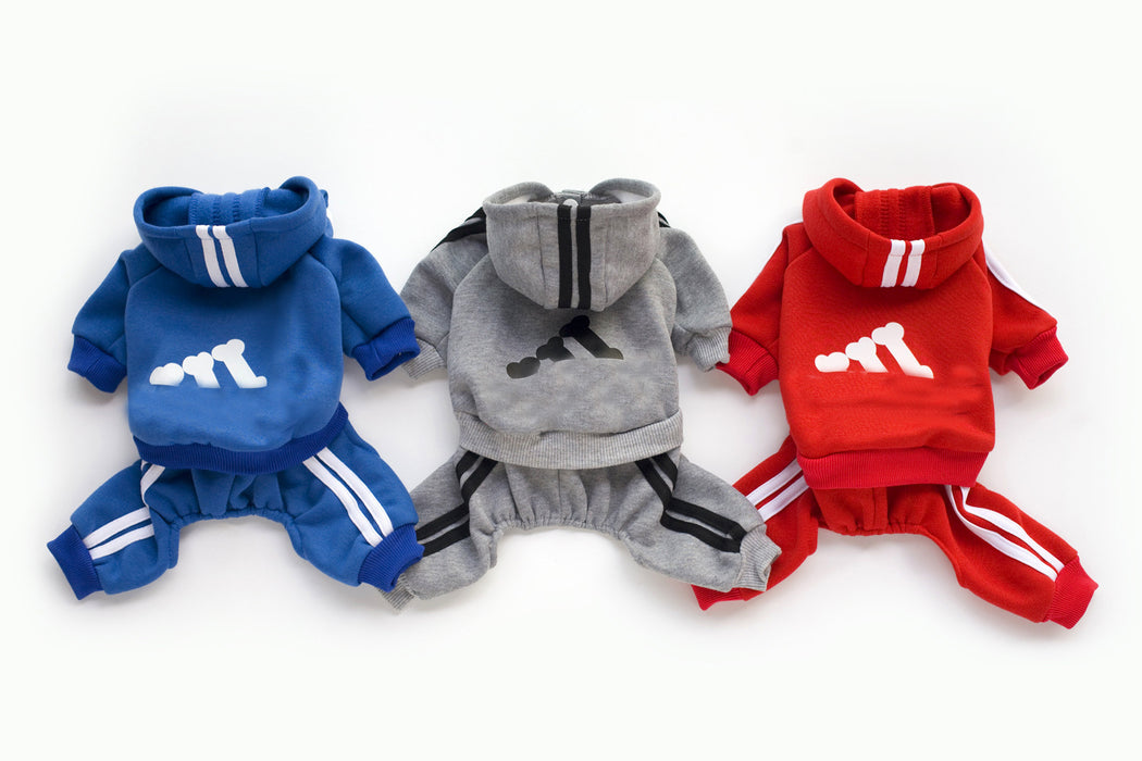 Teddy clothes dog hoodie