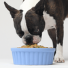 Open Farm Grain Free Harvest Chicken Recipe Rustic Stew Wet Dog Food