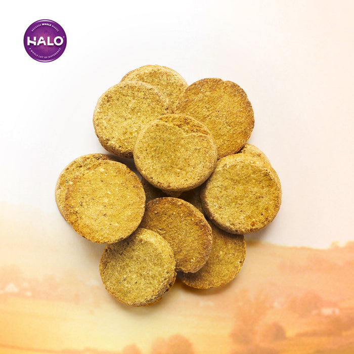 Halo Healthsome Garden Of Vegan Sweet Potato, Carrot & Quinoa Grain Free Dog Treats