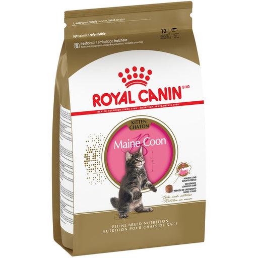 Royal Canin Feline Breed Nutrition Maine Coon Kitten Dry Cat Food