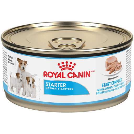 Royal Canin Starter Mother & Babydog Mousse Canned Dog Food