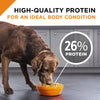 Purina Pro Plan Shredded Blend Beef & Rice Formula Adult Dry Dog Food