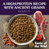 Taste of the Wild Ancient Mountain with Ancient Grains Dry Dog Food