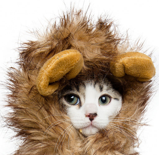 Pet Krewe Lion Mane Cat Costume