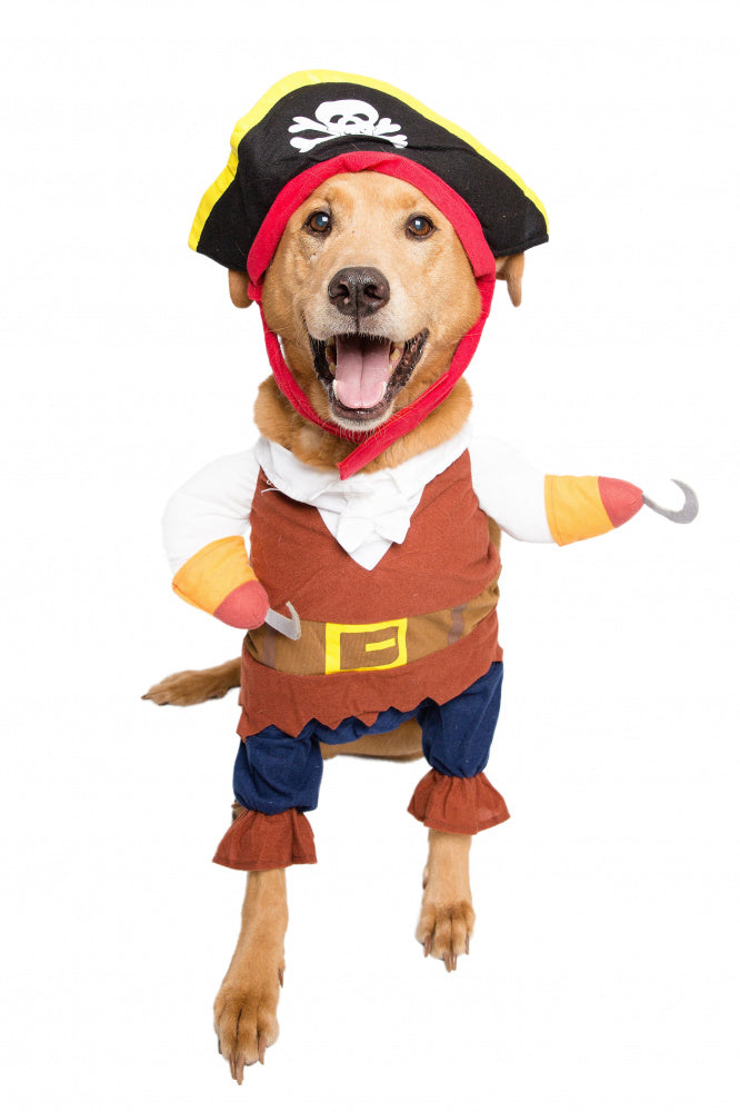 Pet Krewe Pirate Dog Costume