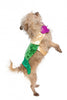 Pet Krewe Mermaid Dog Costume