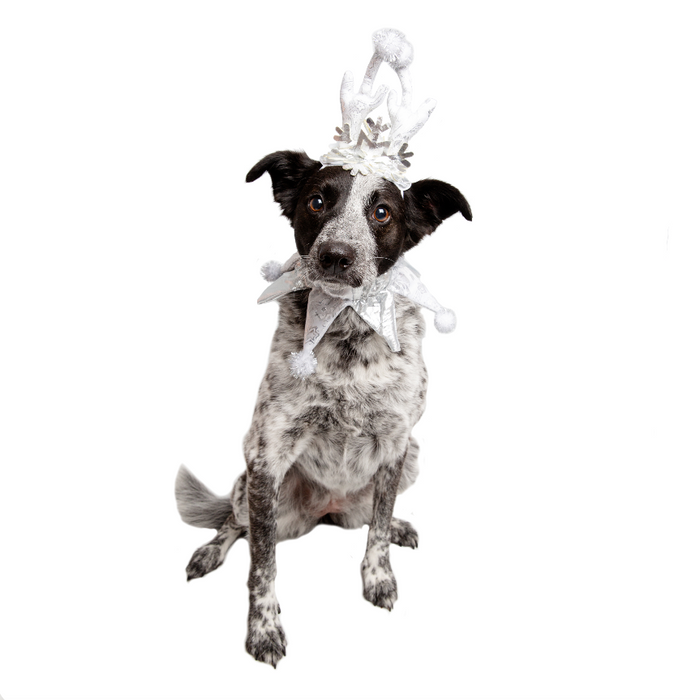 Pet Krewe Christmas Frozen Antler Silver Dog Costume