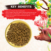 Inception Pork Recipe Dry Dog Food