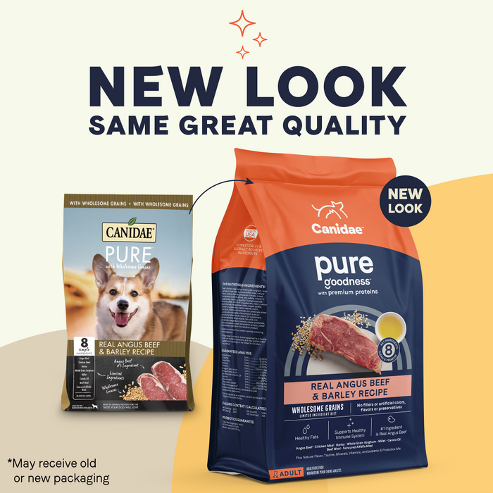 Canidae Pure Goodness Real Beef & Barley Recipe Adult Dry Dog Food