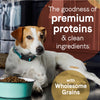 Canidae Pure Goodness Real Lamb & Brown Rice Recipe Adult Dry Dog Food