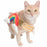 Pet Krewe Rainbow Costume for Cats & Dogs