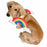 Pet Krewe Rainbow Costume for Cats & Dogs