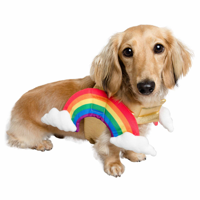 Pet Krewe Rainbow Costume for Cats & Dogs