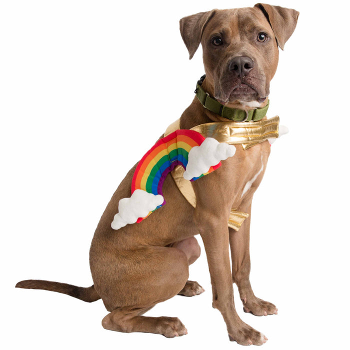 Pet Krewe Rainbow Costume for Cats & Dogs