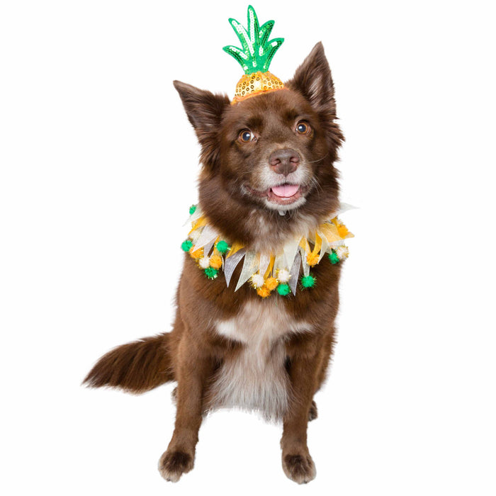 Pet Krewe Pineapple Hat & Collar Set for Cats & Dogs