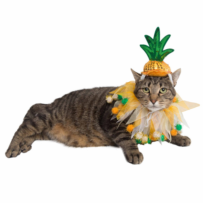 Pet Krewe Pineapple Hat & Collar Set for Cats & Dogs