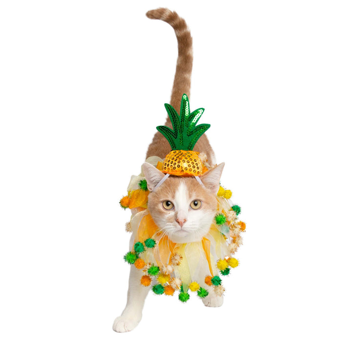 Pet Krewe Pineapple Hat & Collar Set for Cats & Dogs