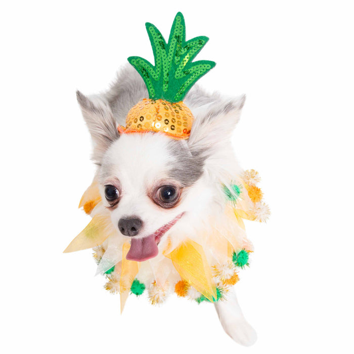 Pet Krewe Pineapple Hat & Collar Set for Cats & Dogs