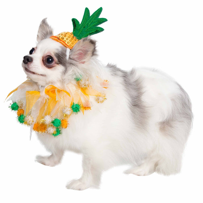 Pet Krewe Pineapple Hat & Collar Set for Cats & Dogs