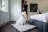 BeOneBreed Gray Diamond Pet Bed