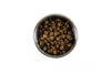 BeOneBreed Concrete Food Bowl for Dogs & Cats