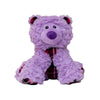 Snugarooz Bella the Bear Plush Dog Toy